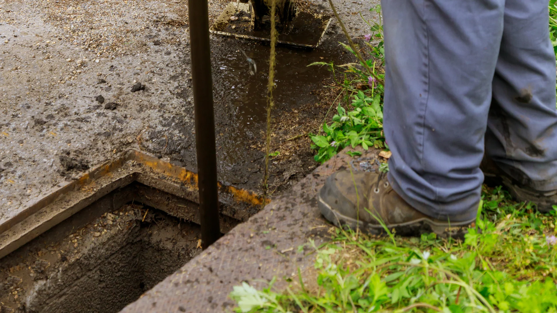 Drainage (3)