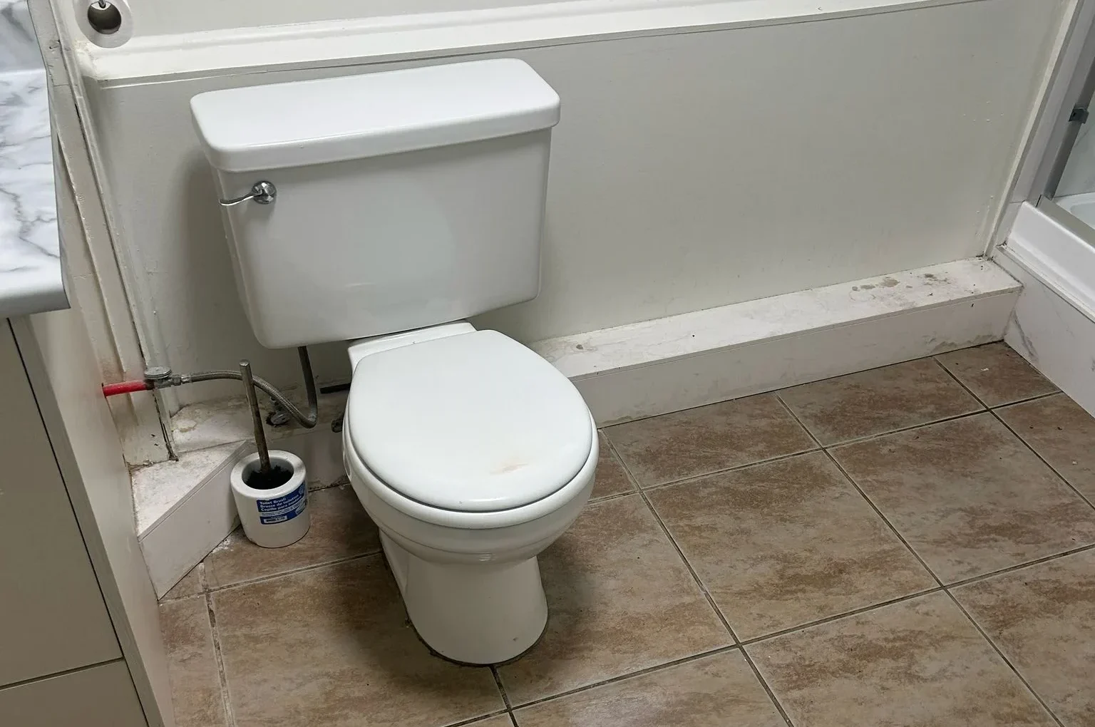 WhatsApp Image 2026-01-08 at 12.01.42 PM